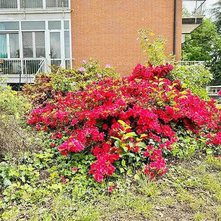 Natura E Golf Con Giardino Privato * Fiano (Piedmont)